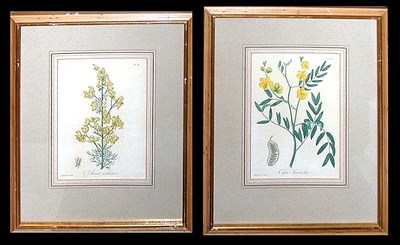 Lot 72 - Hocquart [FLORAL STUDIES] Four hand-colored...