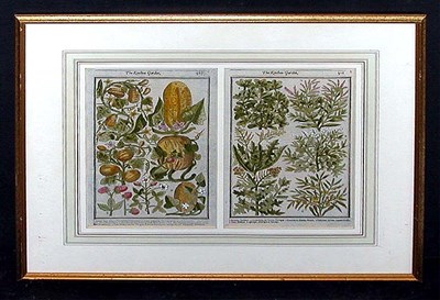 Lot 51 - Artist Unknown [GARDEN FLOWERS] Four...