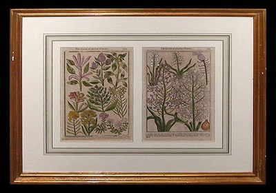 Lot 66 - Artist Unknown [GARDEN FLOWERS] Four...