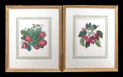 Lot 44 - Artist Unknown [FRUIT STUDIES] Two...