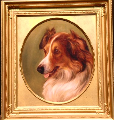 Lot 149 - Manner of George Earl PORTRAIT OF A COLLIE Oil...