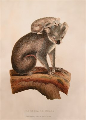 Lot 76 - CUVIER, GEORGE L.C. The Animal Kingdom 875...