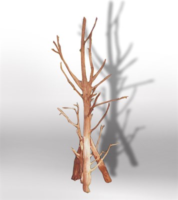 Lot 997 - Michael Betten Cedar Tree Stand