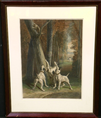 Lot 80 - After Alfred Dedreux [TREED CAT] Hand-colored...