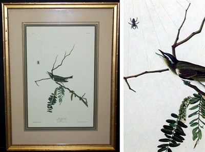 Lot 102 - After John James Audubon PINE FINCH and...