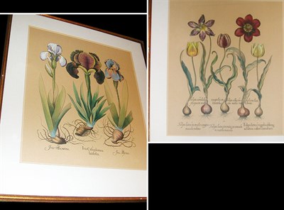 Lot 98 - Basilius Besler [IRISES] and [TULIPS] Two hand-...