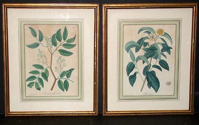 Lot 118 - Hocquart [FLORAL STUDIES] Four hand-colored...