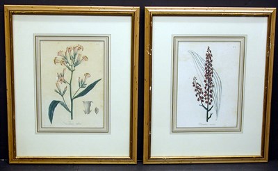Lot 123 - Hocquart [FLORAL STUDIES] Four hand-colored...