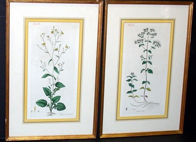 Lot 125 - Artist Unknown [FLORAL STUDIES] Two...