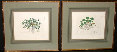 Lot 116 - Artist Unknown [FLORAL STUDIES] Four...