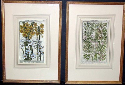 Lot 120 - Artist Unknown [FRUIT STUDIES] and [FLOWER...
