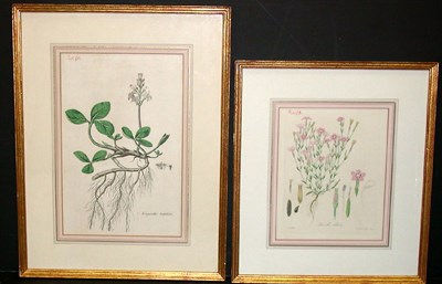 Lot 112 - Artist Unknown [FLORAL STUDIES] Four...