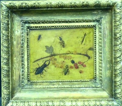 Lot 76 - Manner of Jan Van Kessel INSECTS AND BERRIES...