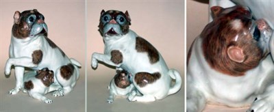 Lot 13 - Dresden Porcelain Figure of a Pug and her Puppy