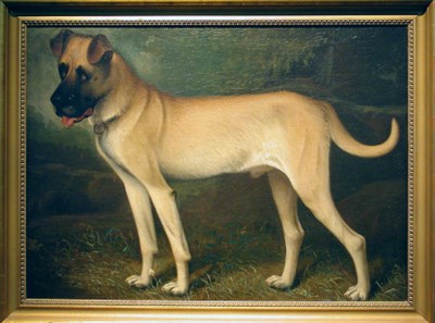 Lot 254 - British School 19th Century ENGLISH MASTIFF IN...