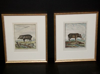 Lot 63 - After De Seve LE PECARI and LE COCHON DE SIAM...