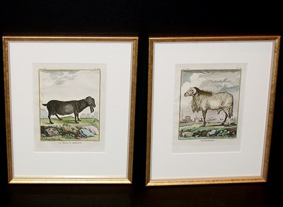 Lot 94 - After De Seve LE BOUE D'AFRIQUE and LE MORVANT...