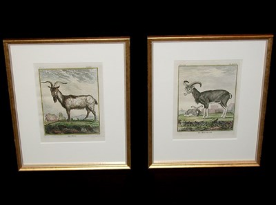 Lot 76 - After De Seve LE BOUE and LE MOUFFLON Two hand-...