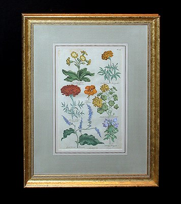 Lot 82 - Sir John Hill [FLOWER STUDIES] Hand-colored...