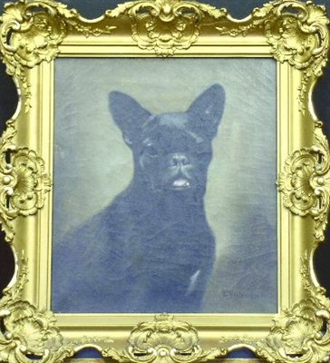 Lot 136 - F. Stoopendaal 20th Century FRENCH BULLDOG...