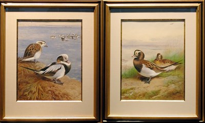 Lot 242 - Archibald Thorburn British, 1860-1935...
