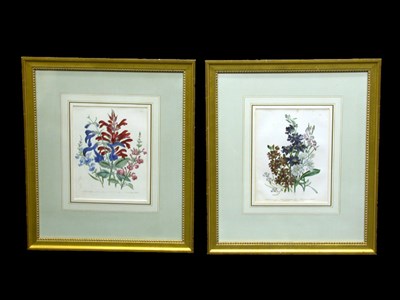Lot 83 - Day & Haghe, lithographers [FLOWER STUDIES]...