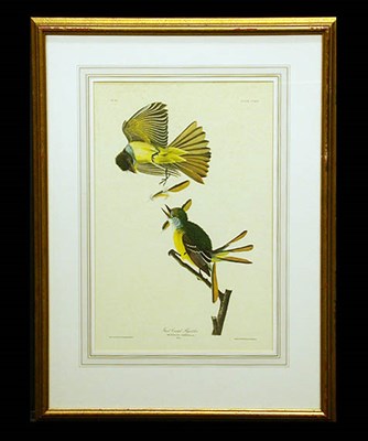 Lot 100 - After John James Audubon GREAT CRESTED...