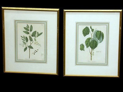 Lot 81 - Hocquart [FLORAL STUDIES] Five hand-colored...