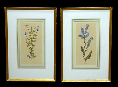 Lot 90 - Artist Unknown [FLOWER STUDIES] Three...