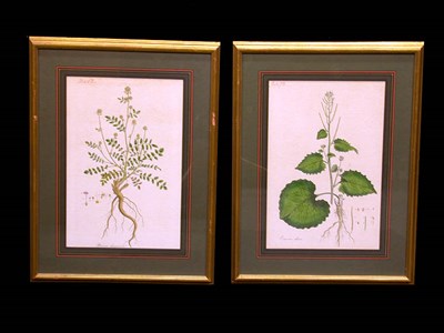 Lot 66 - Artist Unknown [FLOWER STUDIES] Four...