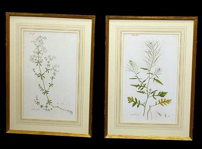 Lot 71 - Artist Unknown [FLOWER STUDIES] Four...