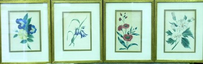 Lot 34 - 19th Century School FLORAL STUDIES: FOUR...