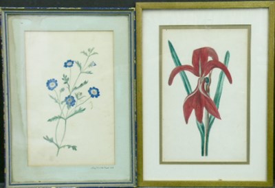 Lot 33 - Mary Elizabeth Hunt 19th Century FLORAL STUDY...