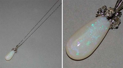 Lot 348 - Opal Pendant and Chain
