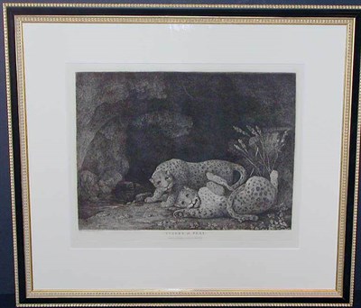 Lot 109 - George Stubbs TYGERS AT PLAY Etching, 17890,...