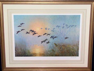 Lot 126 - After Sir Peter Markham Scott [TEAL ALIGHTING]...