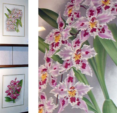 Lot 95 - After A. Goossens [ORCHID STUDIES] Two...