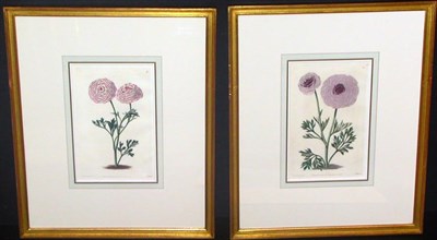 Lot 93 - After E. D. Smith [CARNATION STUDIES] Two hand-...