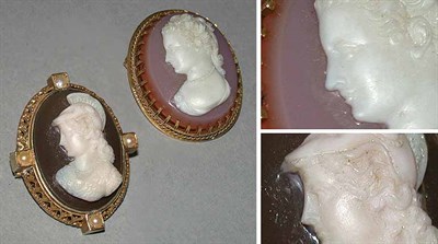 Lot 342 - Two Cameo Pins