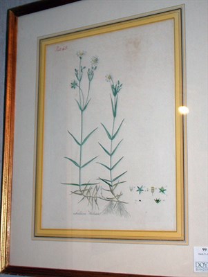 Lot 99 - Artist Unknown [FLOWER STUDIES] Two...