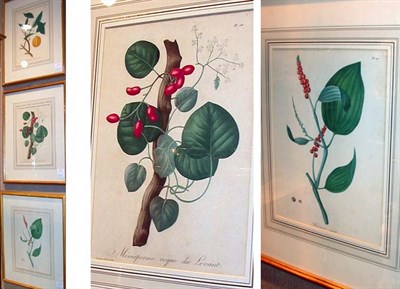 Lot 114 - Hocquart [FLOWER STUDIES] Three hand-colored...