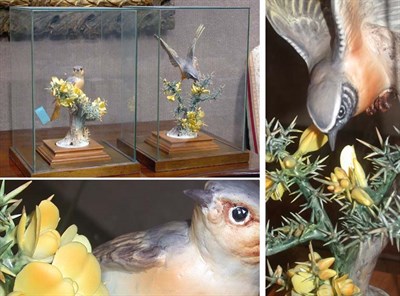 Lot 525 - Two English Porcelain Figures of Birds