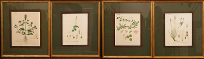 Lot 2085 - Artist Unknown [FLOWER STUDIES] Four...