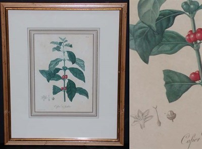 Lot 79 - Hocquart [FLOWER STUDIES] Four hand-colored...
