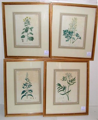 Lot 89 - Hocquart [FLOWER STUDIES] Four hand-colored...