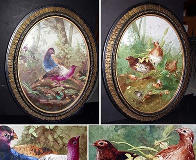 Lot 414 - Pair of Continental Porcelain Plaques Each...