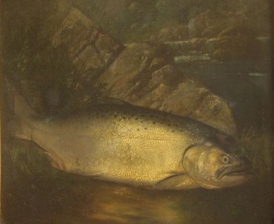 Lot 32A - W. Broocks American, 19th/20th century FISH ON...