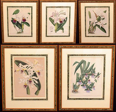 Lot 102 - John Nugent Fitch [ORCHID STUDIES] Five...