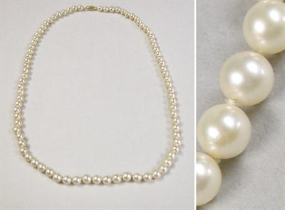 Lot 485 - Cultured Pearl Necklace