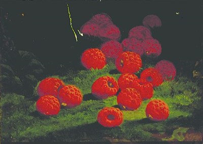 Lot 177 - Attributed to William Mason Brown RASPBERRIES...